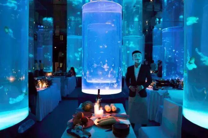 Aquarium ubur -ubur