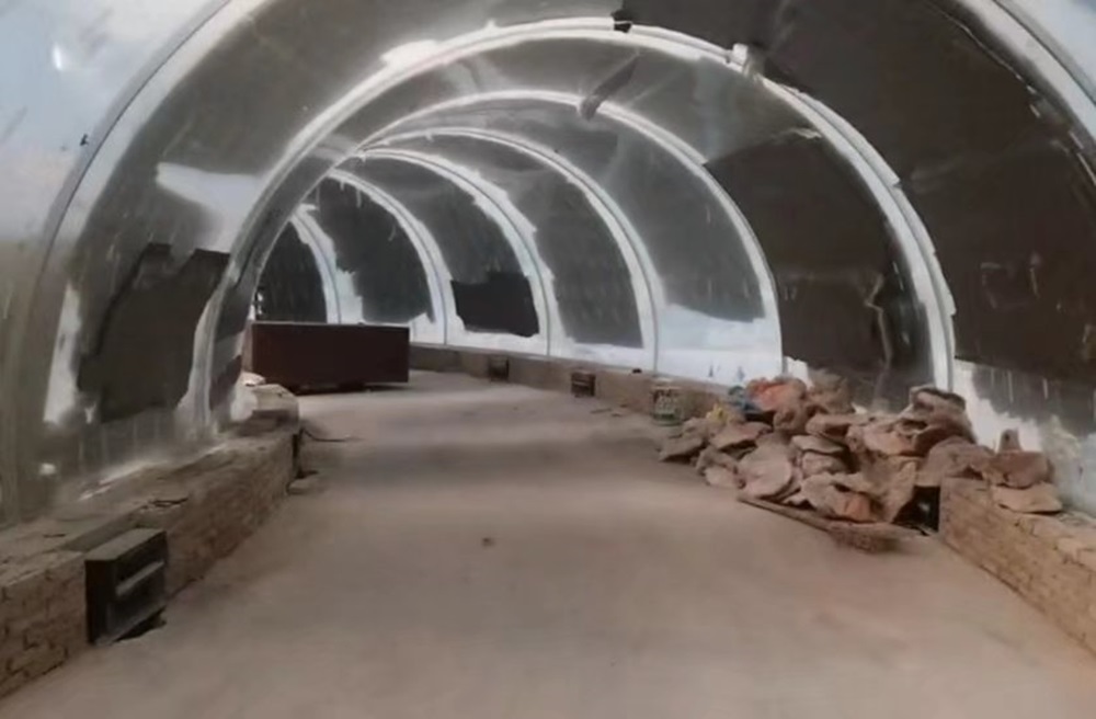 Fuzhou ongongta&yacute; akwarium tuneli