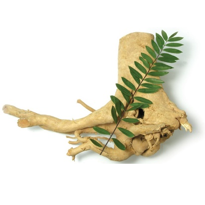 통캇알리 분말추출물