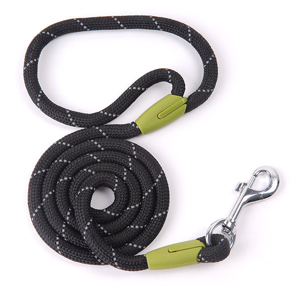 Leash