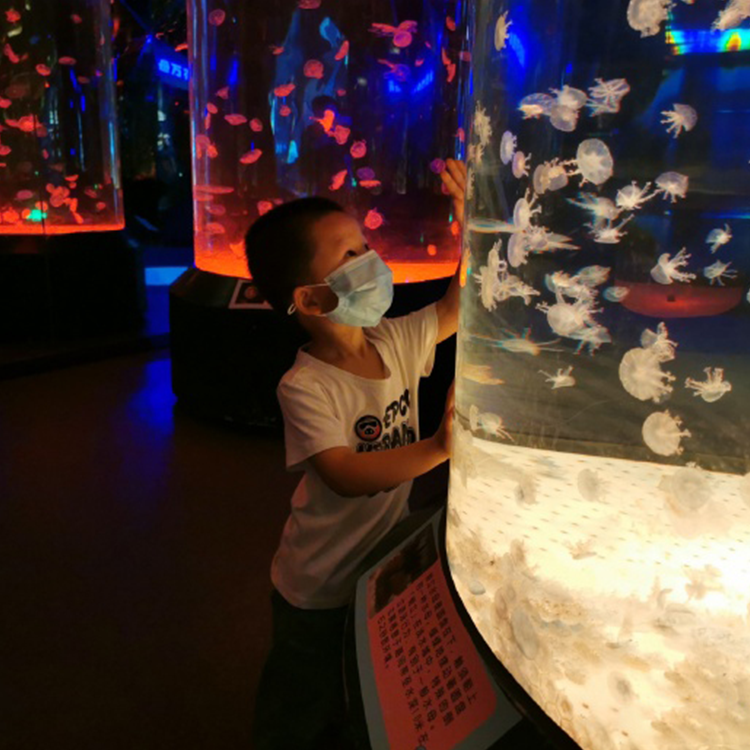  Leyu acrylic aquarium ፋብሪካ