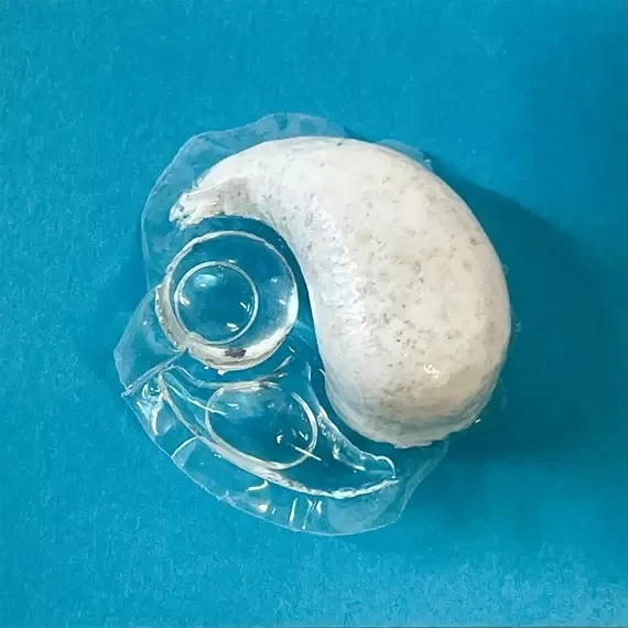 Can You Put Bleach Pods in The Dishwasher هل يمكنك وضع أقراص التبييض في غسالة الأطباق؟