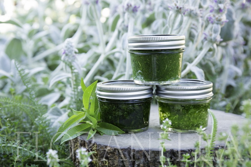 I migliori produttori e fornitori di estratti di erbe a Vancouver