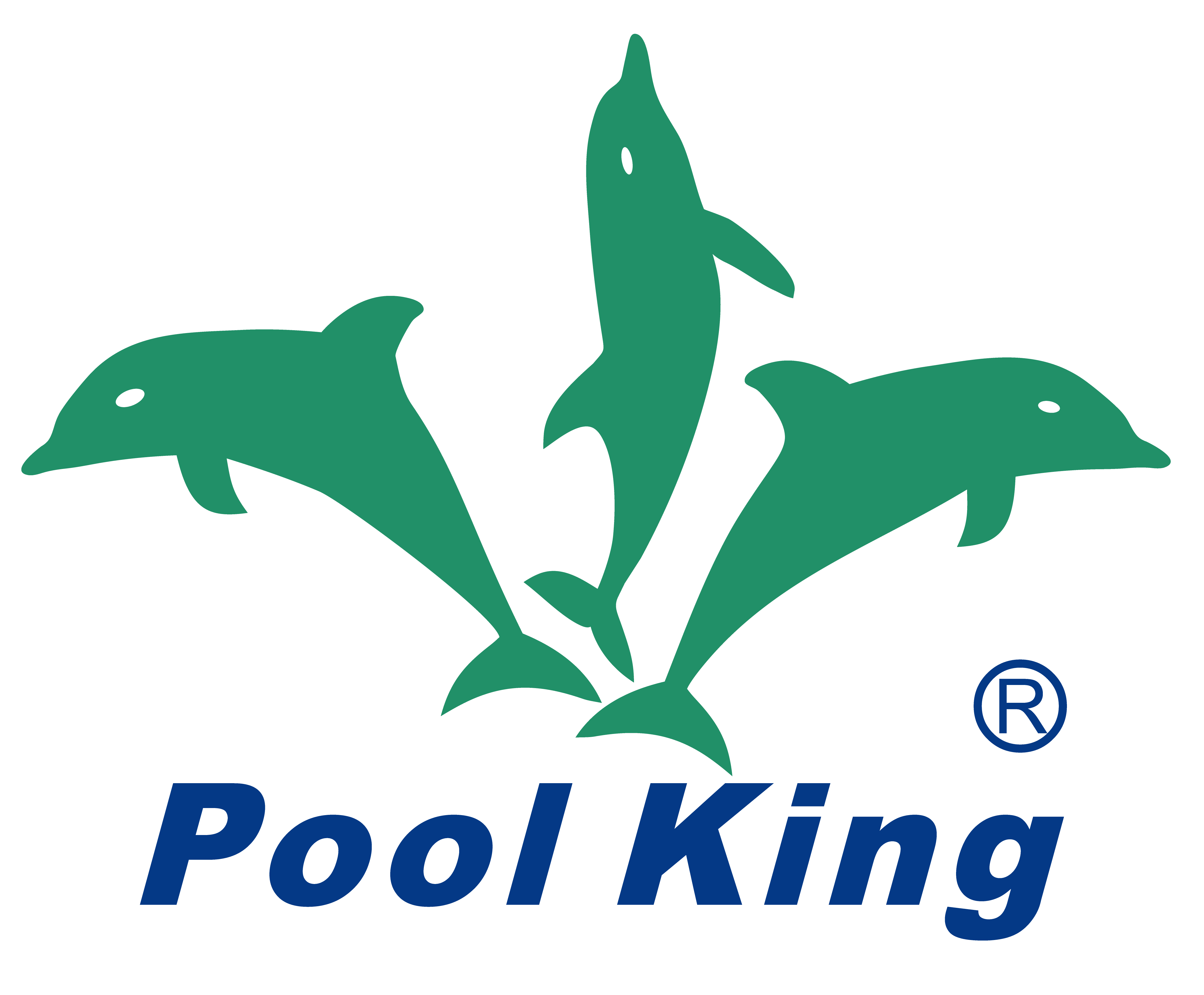 logotipo del rey de la piscina