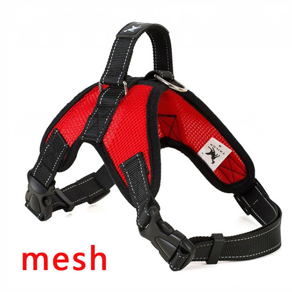 Pet chest strap