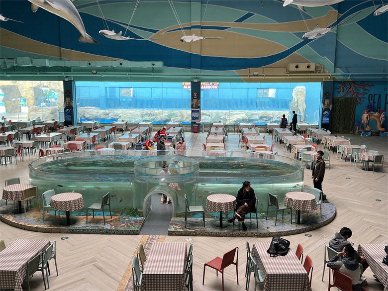 Acquario acrilico pulito