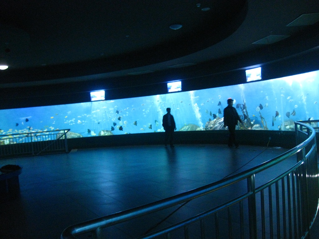 Dritare akrilike Leyu Aquariums (4)