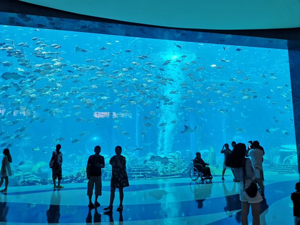 Dali Polar Ocean World - Akrilni akvarij (5)