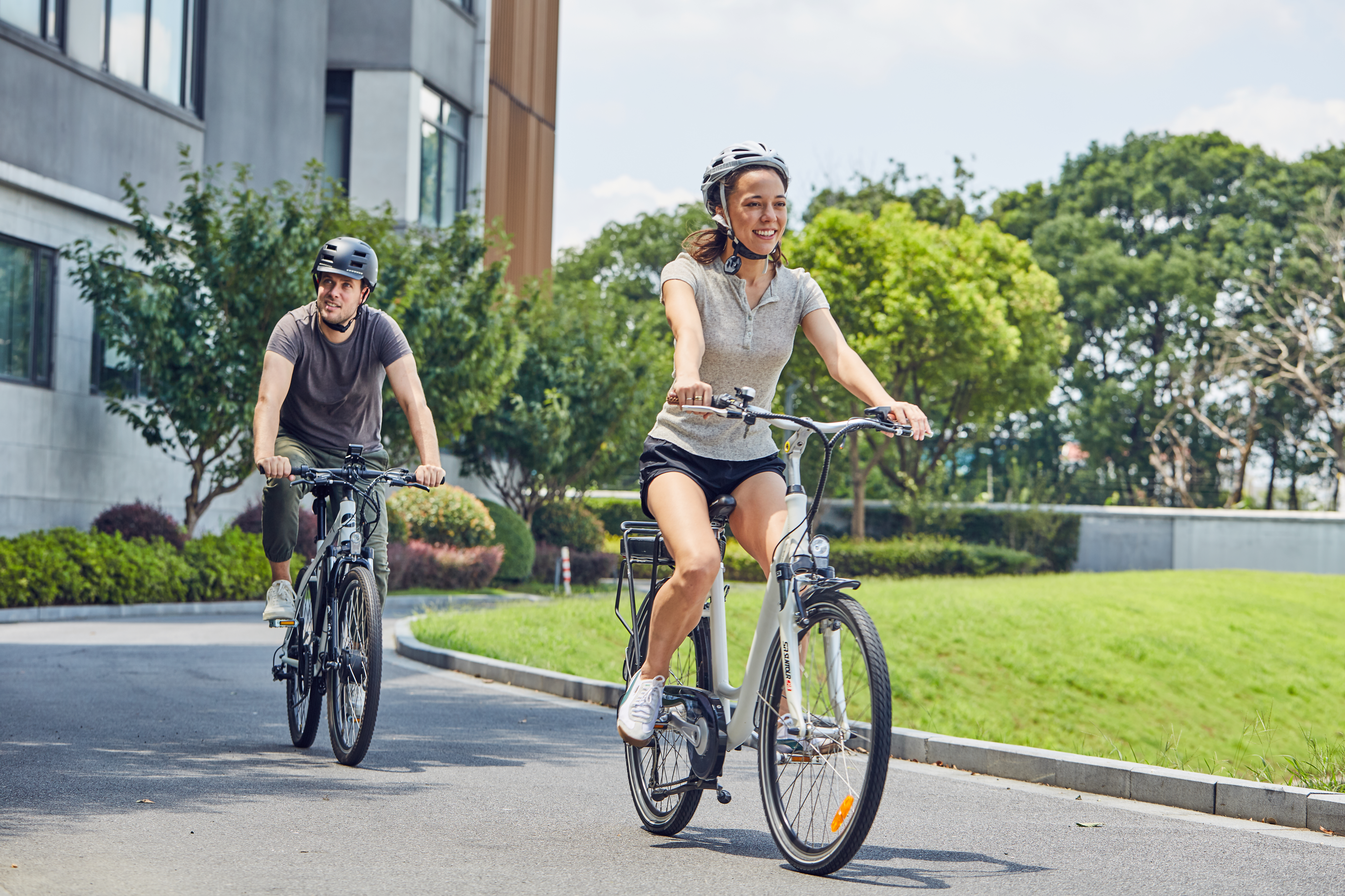 ebike