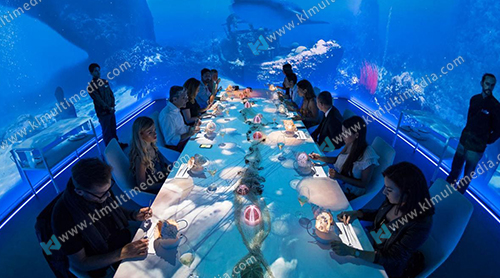 restaurant Projection Table