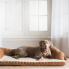 Popular Cheap Suppliers Large Pet Memory Foam Dog Bed