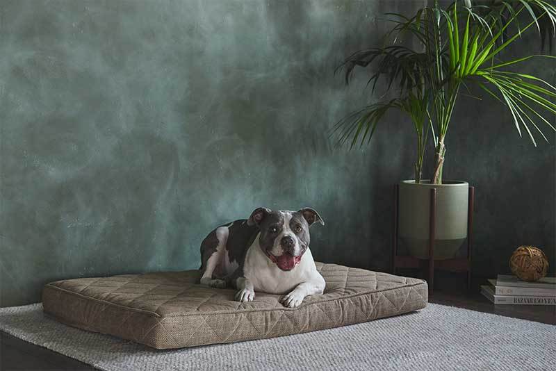 Eco-Friendly Custom New Arrival Wear-Resistant Wholesale Factory Memory Foam Dog Bed