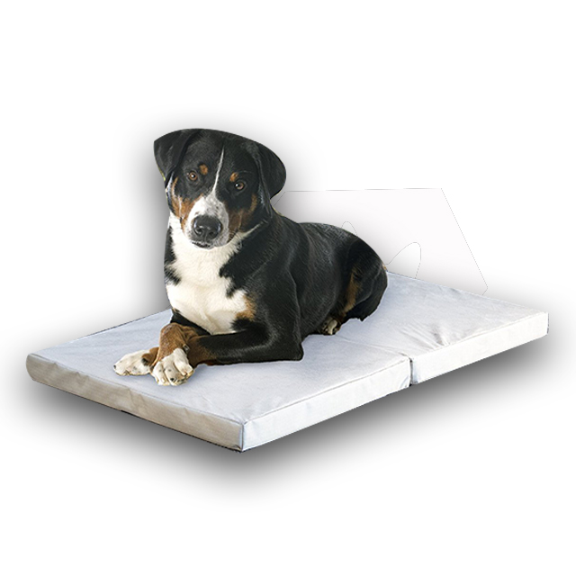 Customized Material New Style Best Seller Pet Accessories Foldable Memory Foam Dog Bed