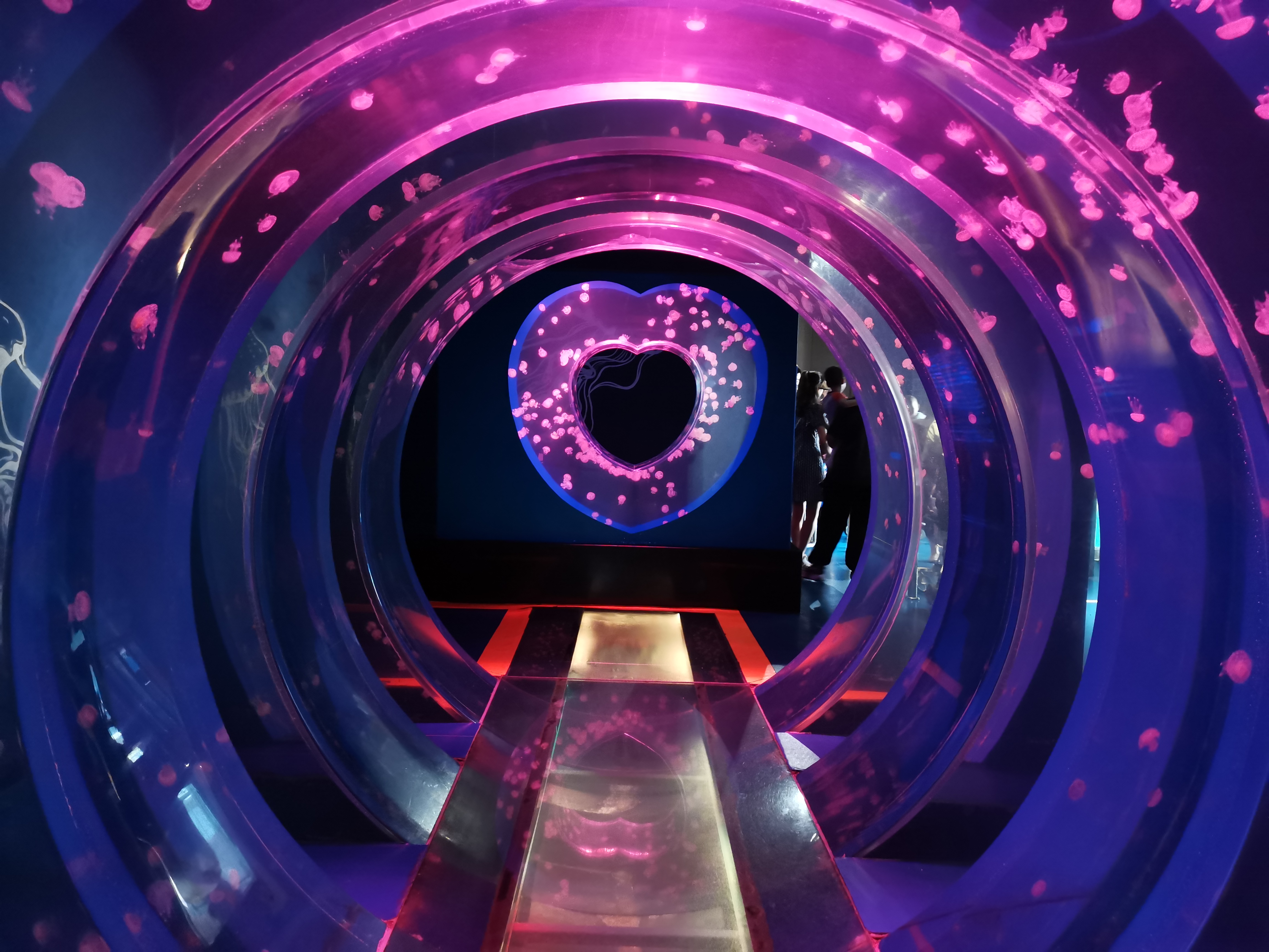 Akrilo medūzų akvariumas - dizainas