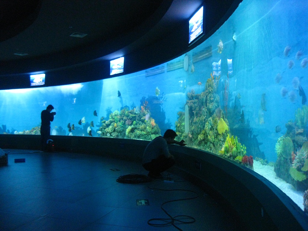 Dritare akrilike Leyu Aquariums (3)