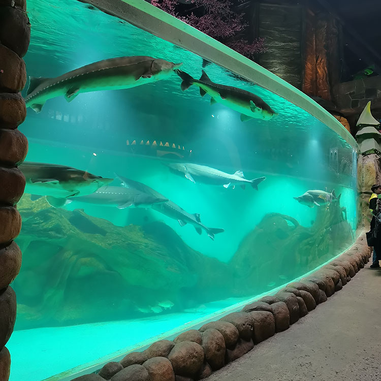 Feuilles acryliques pour aquarium