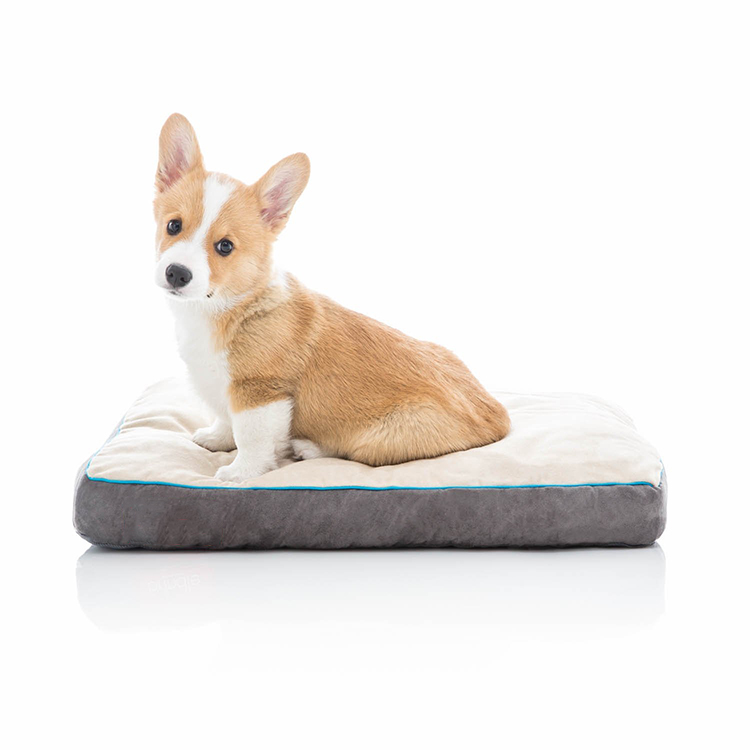 CPS Fashion Luxury Safe Durable Fabric Soft Pet Bed 