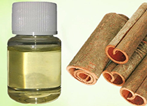 계피 껍질 오일