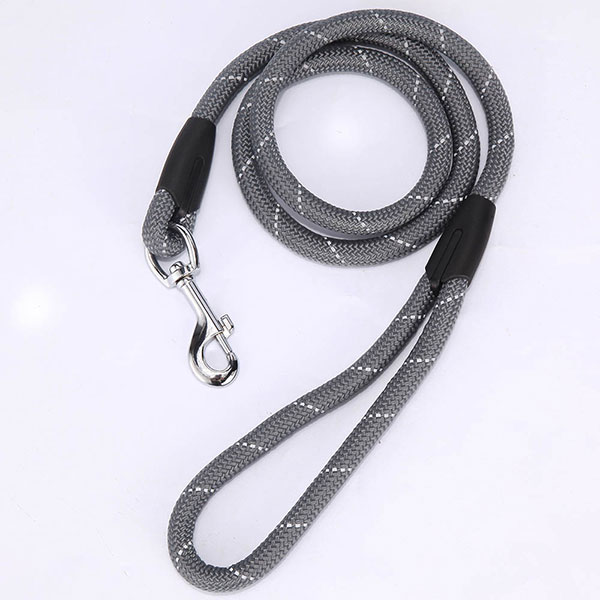 Leash