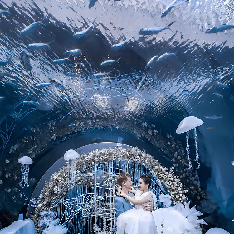 Sanya-Tunnel - Hersteller von Aquarientunneln