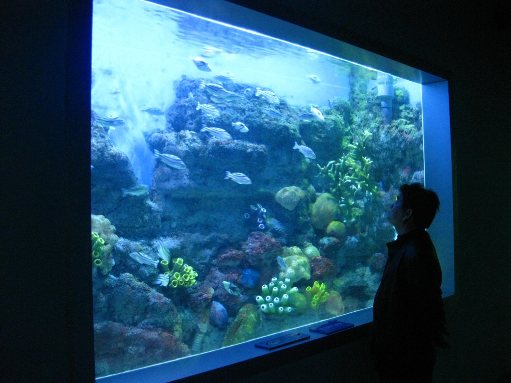 Dritare akrilike Leyu Aquariums (2)
