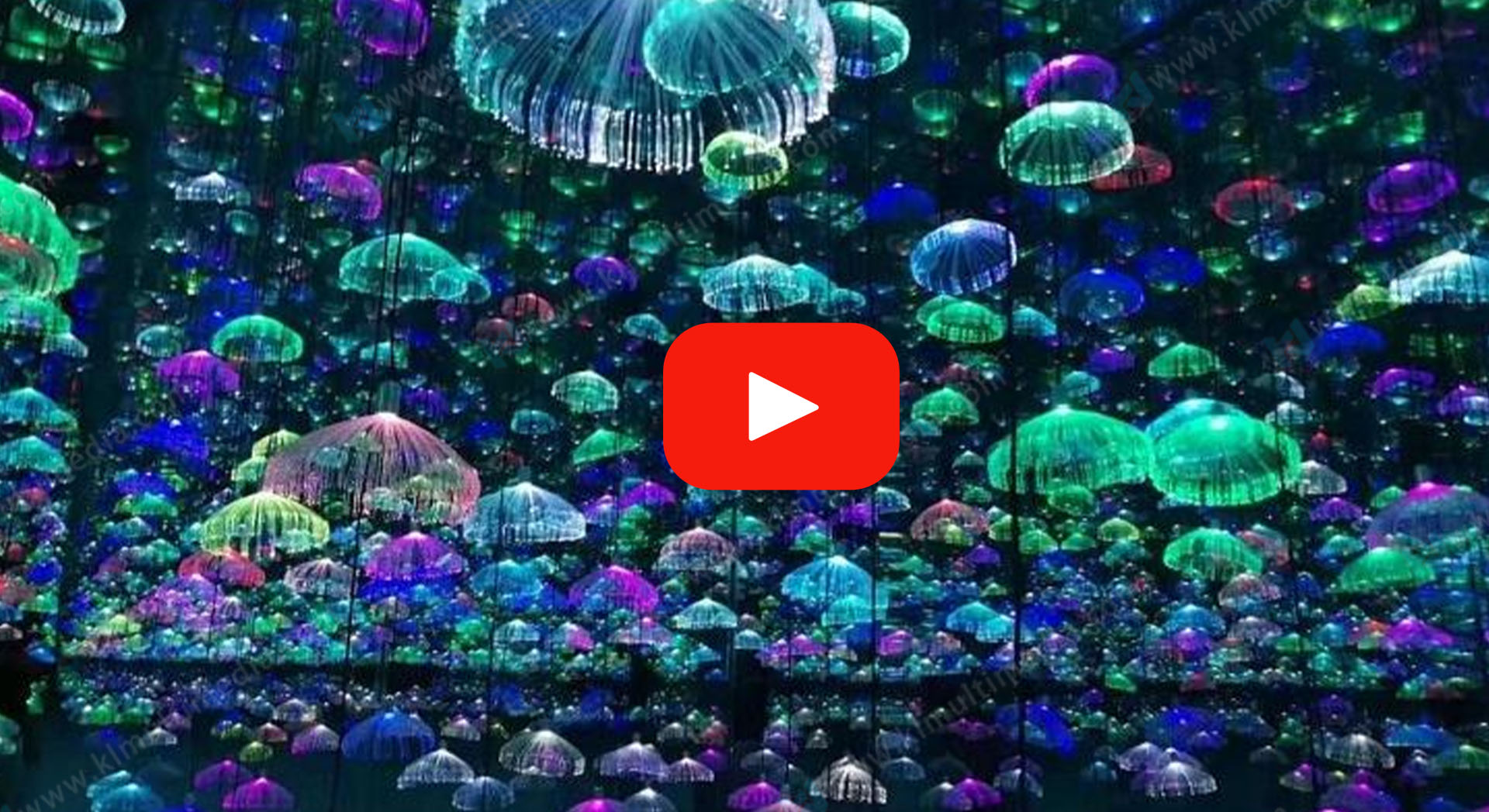 في الهواء الطلق  ديكور  أضواء