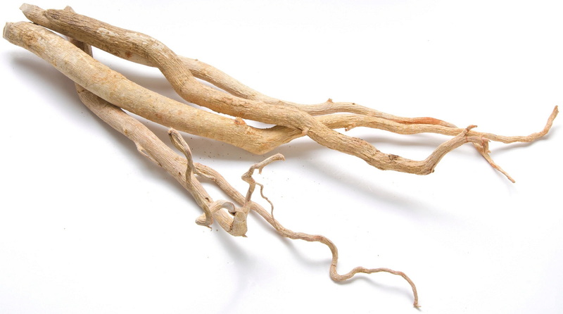 האם טונגקט עלי יכול לחלץ עזרה עם חרדה ודיכאון