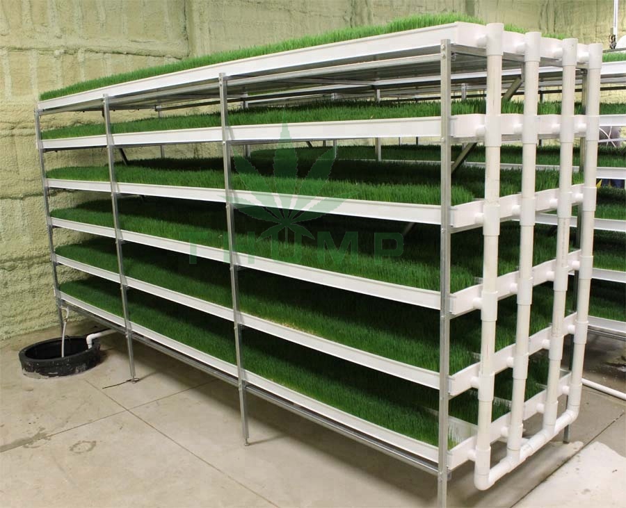 Commercial Growing Barley Fodder Systems for Sale