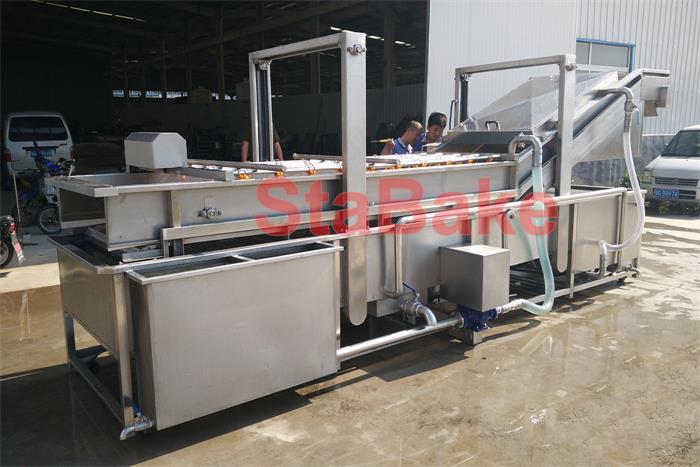 Fruit washing machine