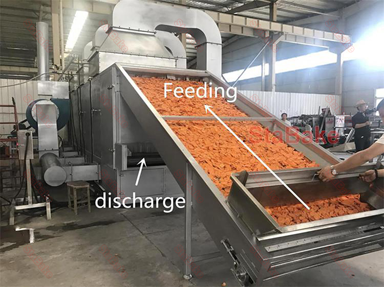 carrot drying machine