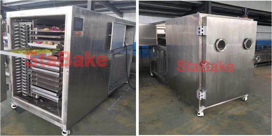 Vacuum Freeze Drying Machine