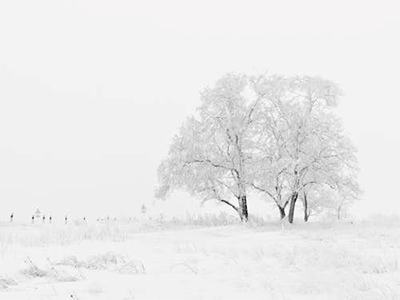 How Much do You Know about Keeping Warm in Winter?