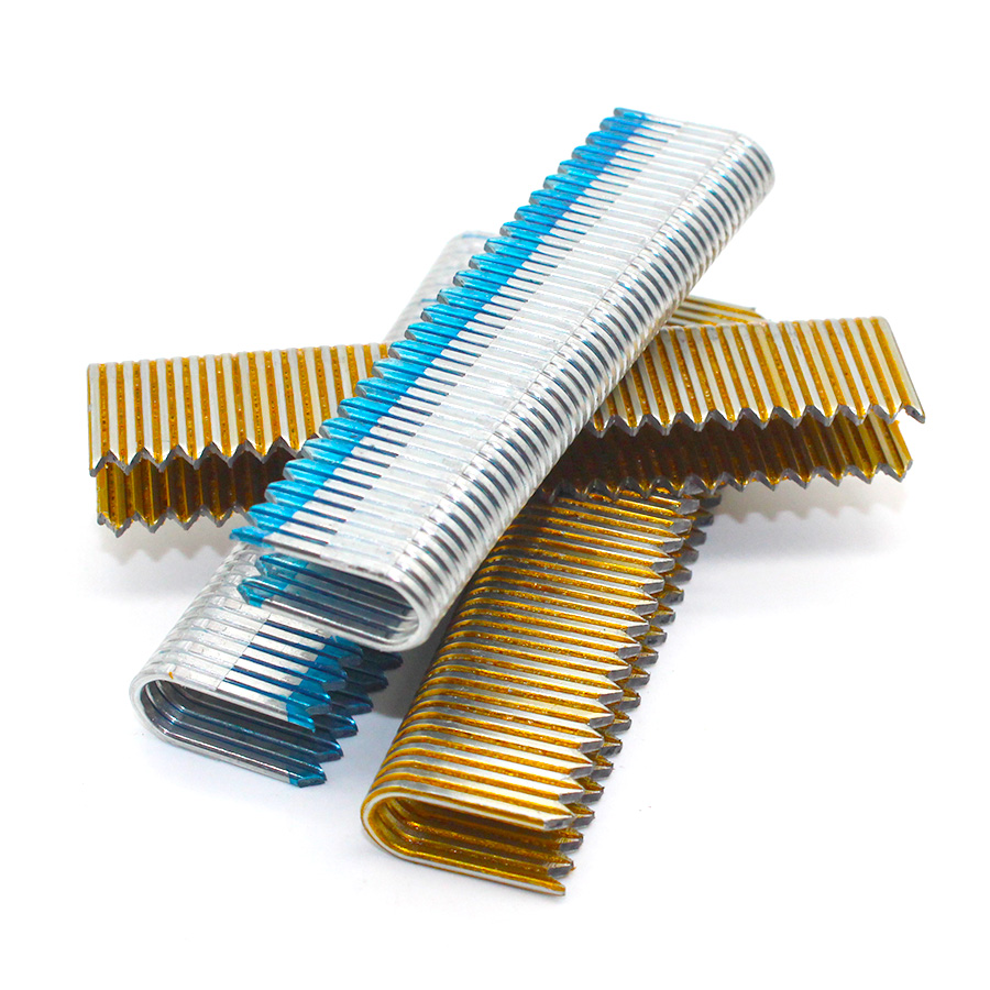 BCS31P 테이프 대조