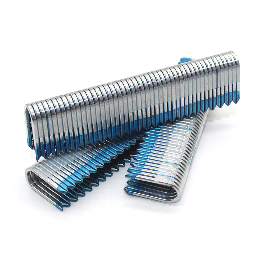 BCS31P 16GA U 크라운 스테이플 - KYA 패스너