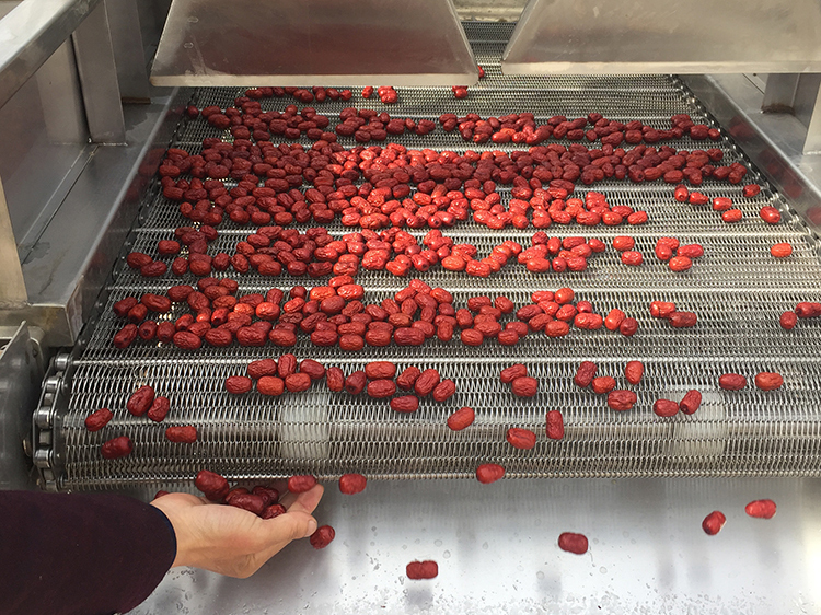 Fruit And Vegetable Washing Processing Machine