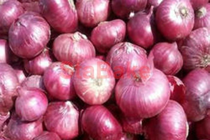 Peler di cipolla lndustriale