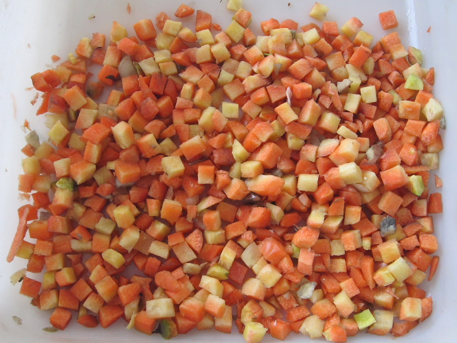 Carrot Dicing