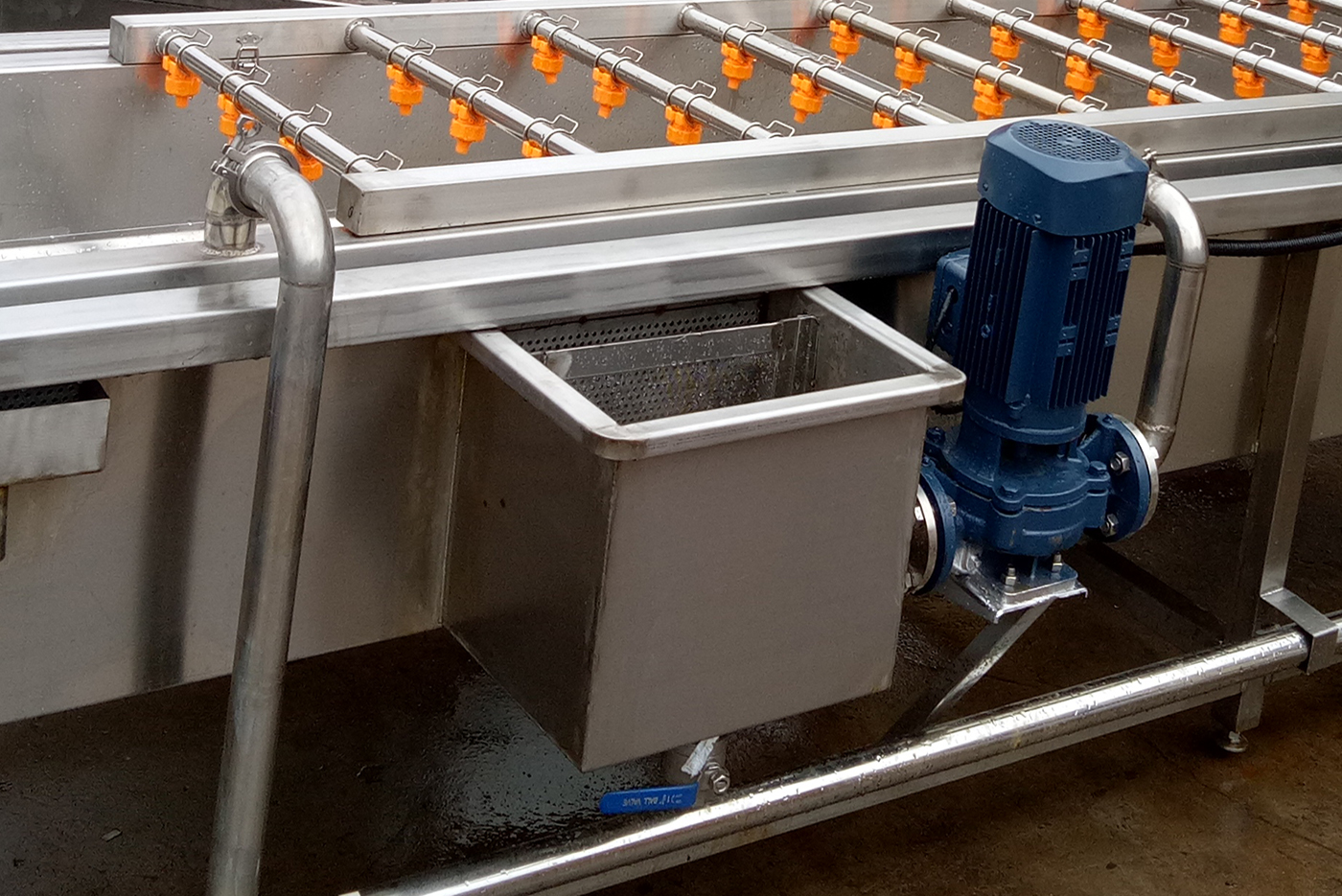 Fruit And Vegetable Washing Processing Machine
