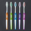 Cepillo de dientes diario ecomónico simple con mango de dos colores