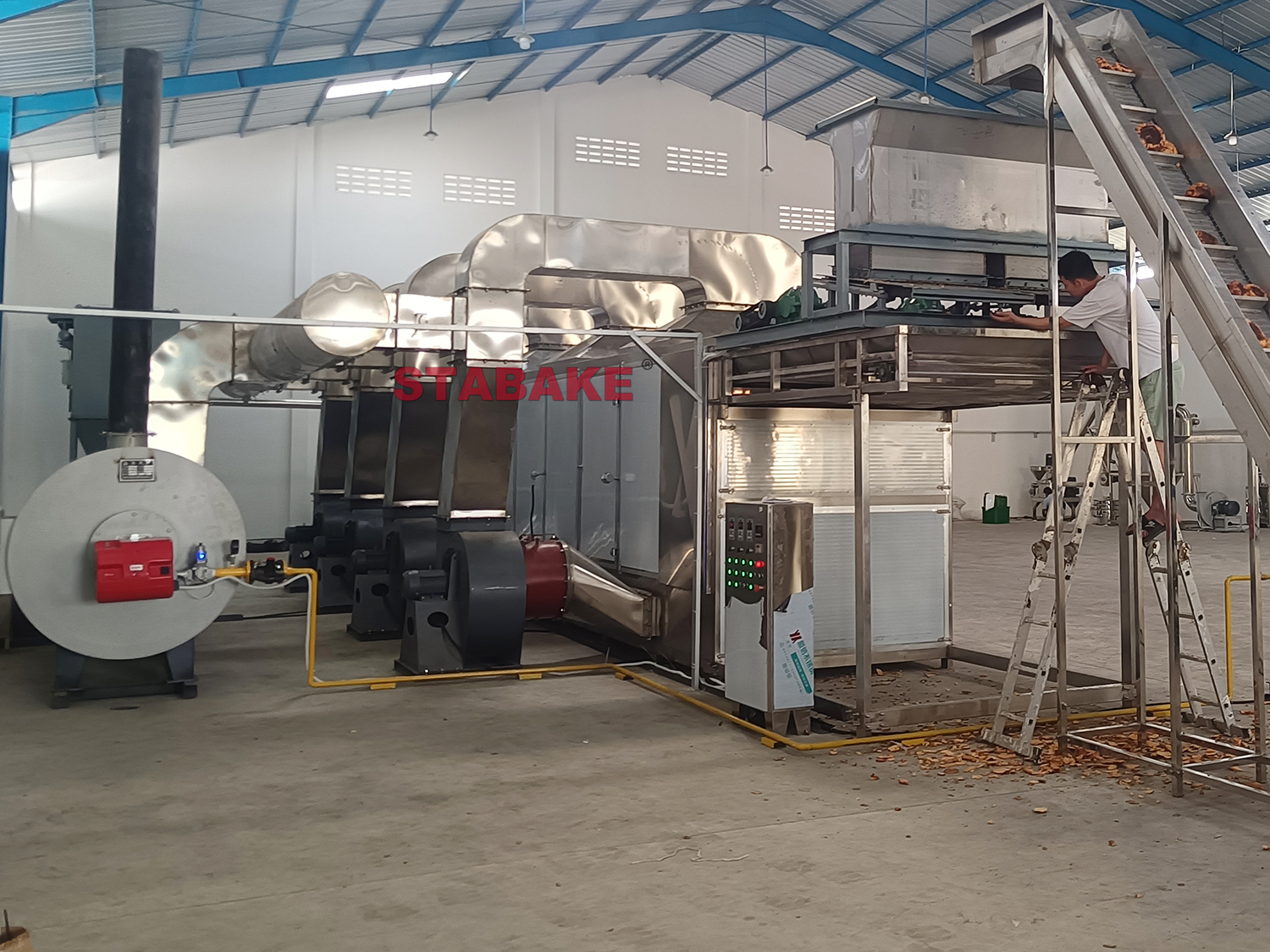 6. Konjac chips drying machine