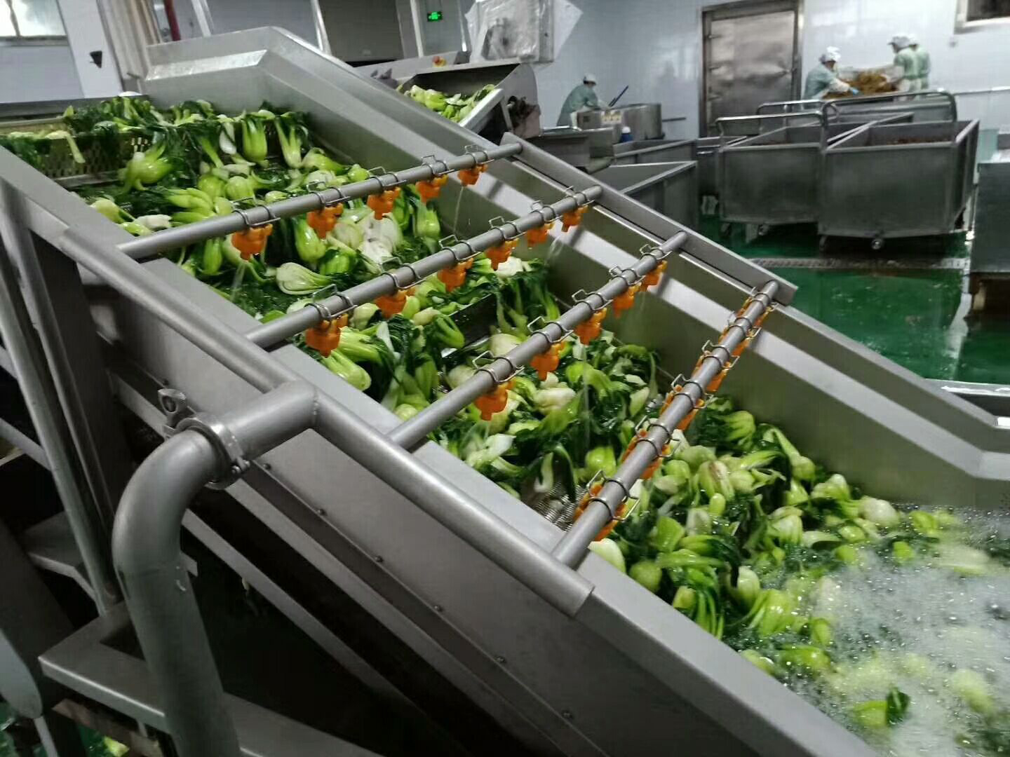 Fruit And Vegetable Washing Processing Machine