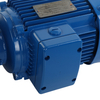 EED E-S Helical-Worm Geared Reducer
