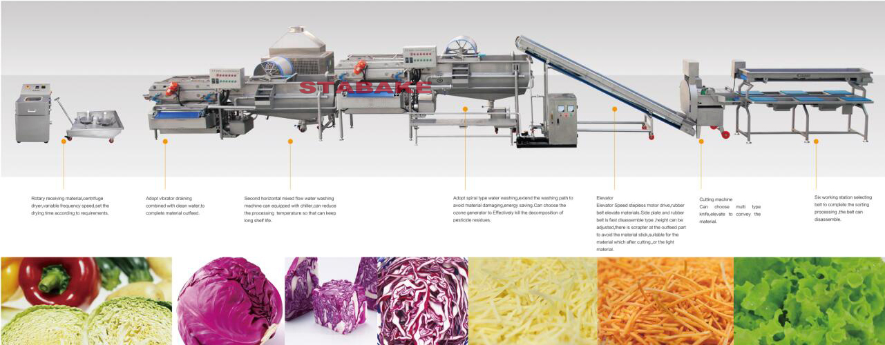 Leafy vegetable salad processing line