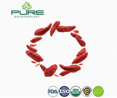 A Sınıfı Goji Berry Toplu