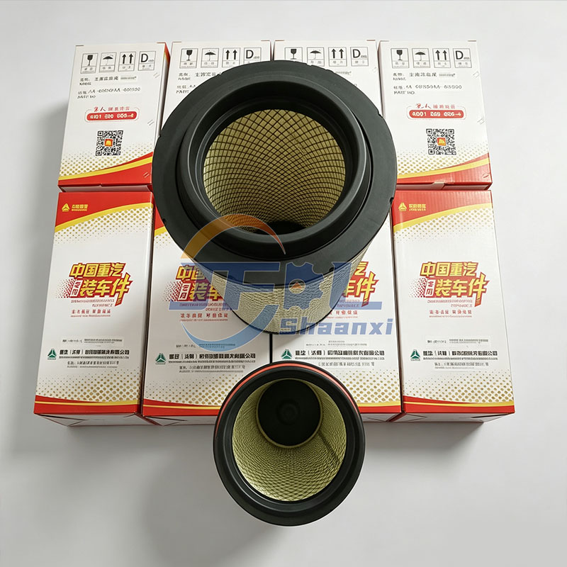滤芯1 WG99255509661