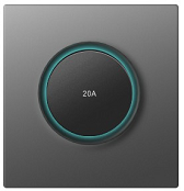 20A/45A Switch With Neon 