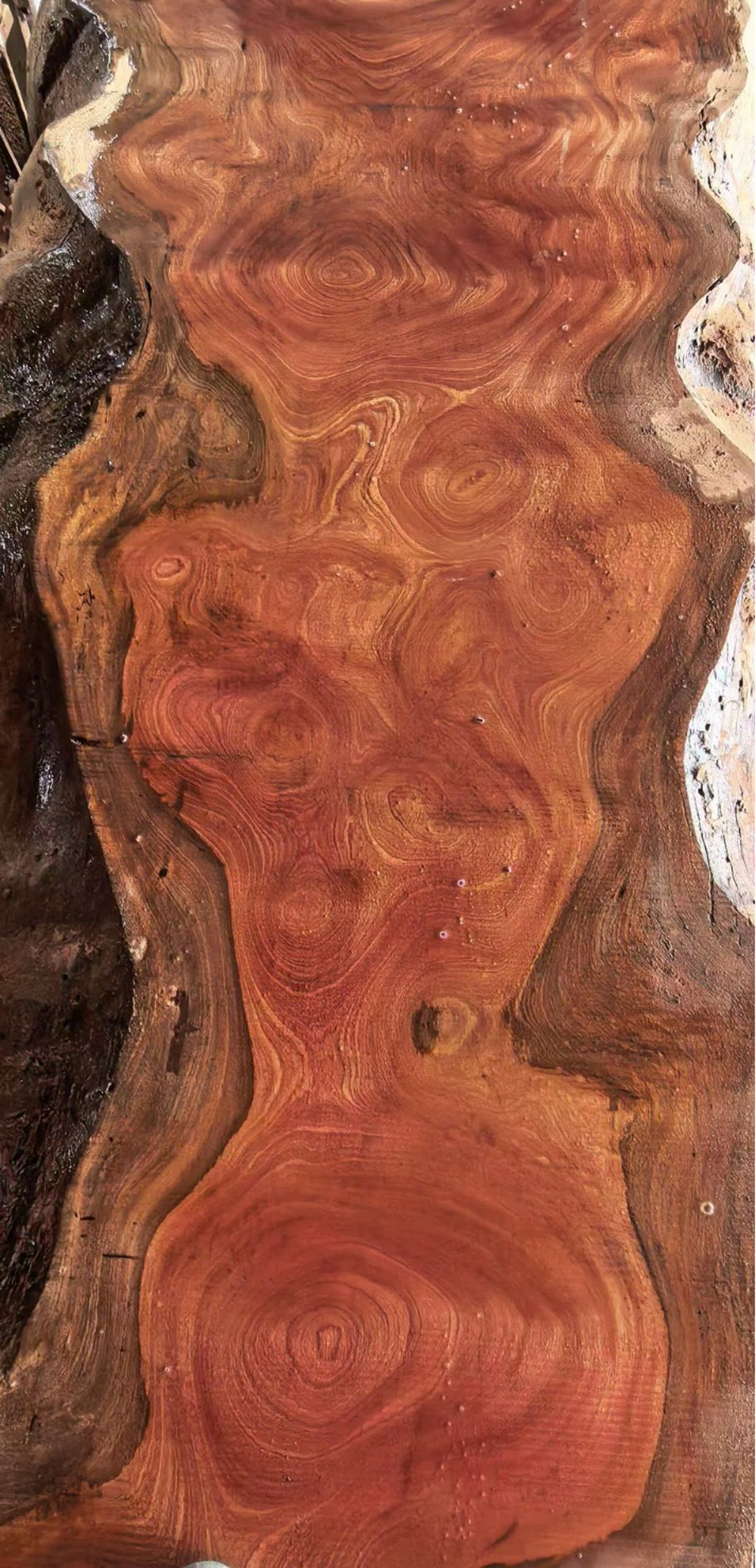 Madera de Sapeli (3)