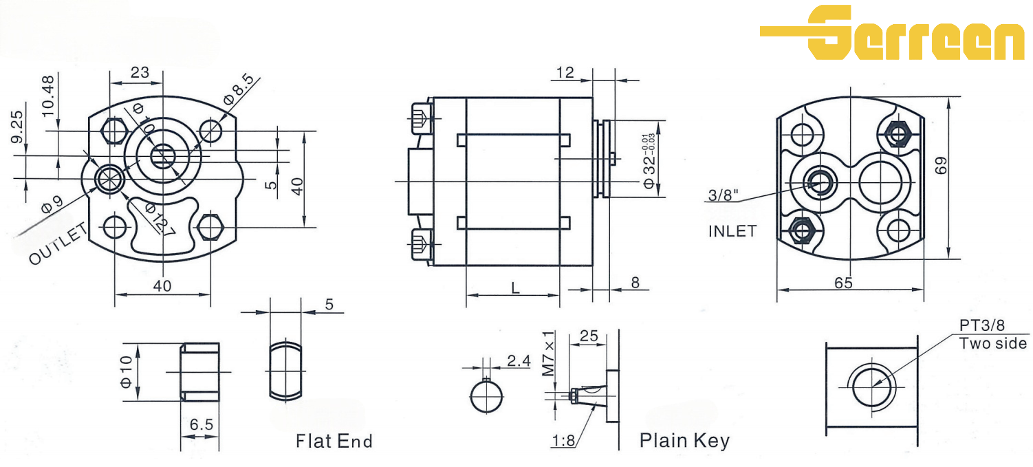 Dimensioni della pompa idraulica a ingranaggi serie RGP-F100