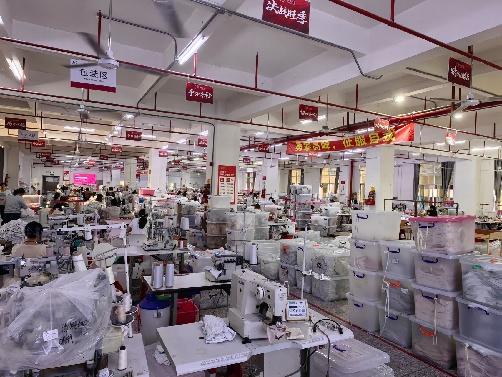 Productielijn Showcase1.jpg
