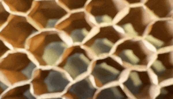 3D Honeycomb papp&iacute;rsmotta